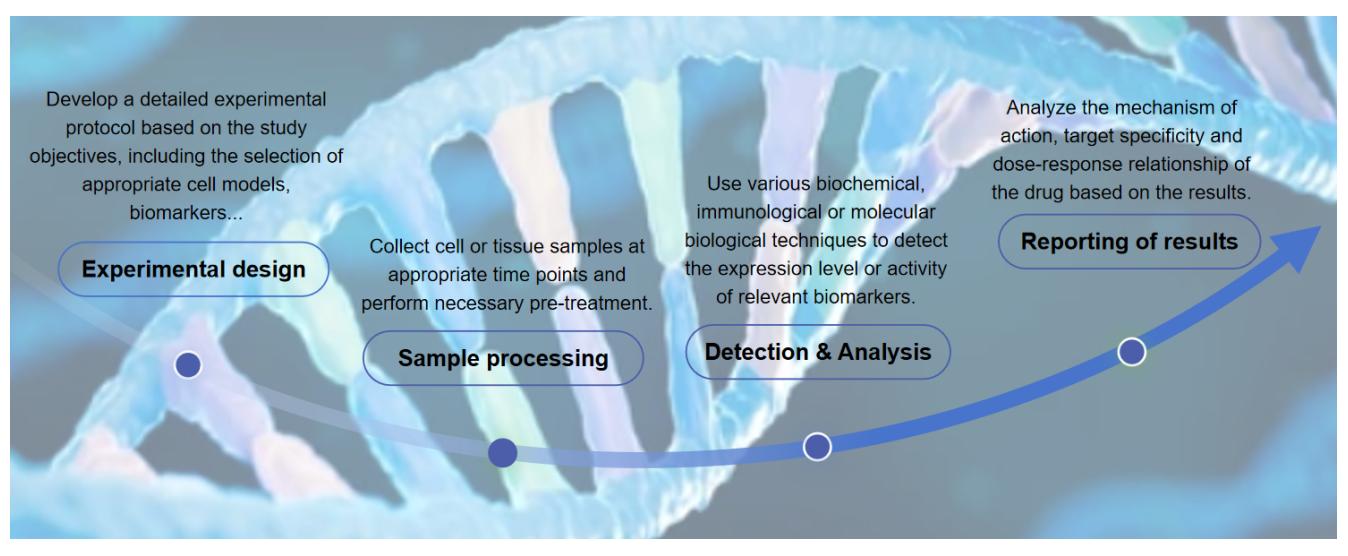 Fig.2 Workflow of nucleic acid PD analysis.